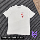 Bulls 1966 Shirt