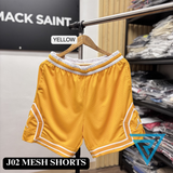 J02 MESH SHORTS
