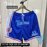 TUNE SQUAD 23 SHORT